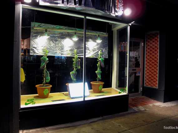 nike dunk 2012 pas cher france mode nike dunk envente31